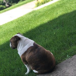 Meet your Posher, Ariana